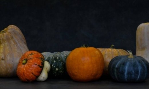 Ο γευστικός κόσμος της κολοκύθας