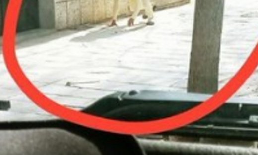 Το είδαμε και αυτό: Ντύθηκε σκύλος για να γλιτώσει την καραντίνα