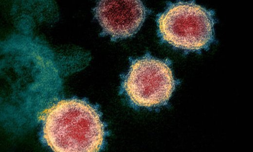 Ανοσία στον κορωνοϊό: Μια περίπλοκη υπόθεση