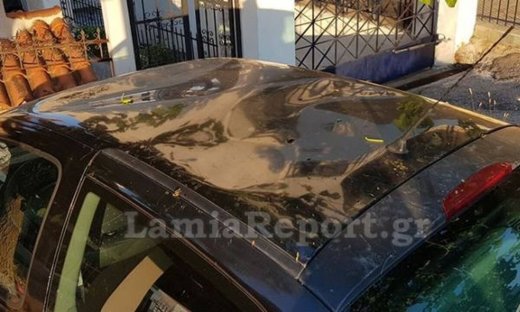 Απίστευτες εικόνες στη Λαμία: Κατσίκες έστησαν πάρτι σε «ουρανό» αυτοκινήτου