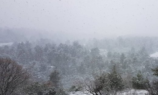 Κακοκαιρία «Λέανδρος»: Πώς θα κινηθεί η ψυχρή εισβολή - Ποιες περιοχές θα πλήξουν χιόνια και παγετός