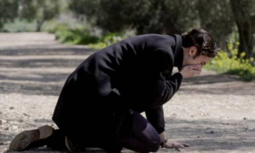 Άγριες Μέλισσες: Ξέσπασε πόλεμος ανάμεσα σε Δούκα-Νικηφόρο και 24 tweets τους αποθέωσαν