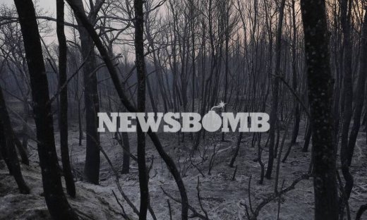 Φωτιά Βαρυμπόμπη: Οδοιπορικό του Newsbomb.gr στα καμένα - Εικόνες ανείπωτης θλίψης και καταστροφής