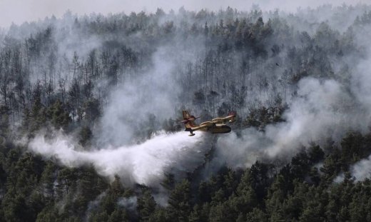 Βίλια: Τεράστιο μέτωπο φωτιάς στο Παλαιοχώρι - Επιχειρούν τα εναέρια μέσα