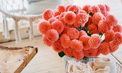 12 όμορφα και ανθεκτικά  λουλούδια που αντέχουν για μέρες μέσα σε βάζο με νερό