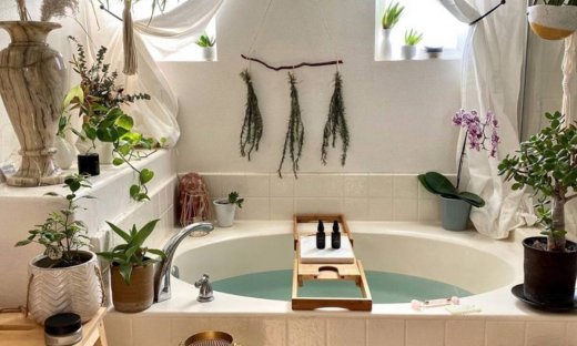 Βάλε ευκάλυπτο στο μπάνιο και δες την διαφορά