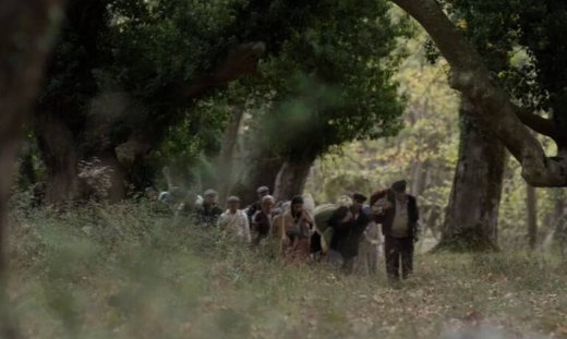 Άγιος Παΐσιος: Τα ανατριχιαστικά πλάνα του ξεριζωμού λύγισαν τους χρήστες του twitter