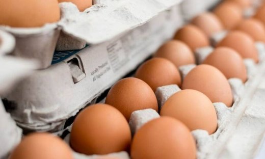 Οι ερευνητές δημιουργούν αντισώματα COVID-19 από αυγά - μελέτη