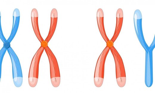 Η απώλεια χρωμοσώματος Υ προκαλεί καρδιακή ανεπάρκεια - μελέτη