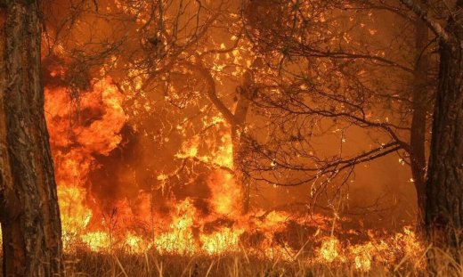 Πύρινος όλεθρος σε Μέγαρα και Σαλαμίνα - Εκκενώνονται οικισμοί, καταγγελίες για εμπρησμούς