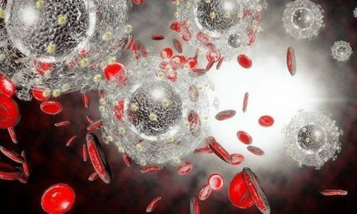 Eρευνητές εντοπίζουν πώς θανατηφόρος μύκητας αναπτύσσει αντοχή στα φάρμακα - μελέτη