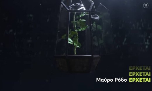 Μαύρο ρόδο: Από την αγάπη της Παναγίας στον έρωτα των ανθρώπων