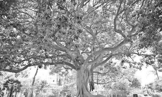 Σασμός: Ο θάνατος που θα βυθίσει σε πένθος το χωριό