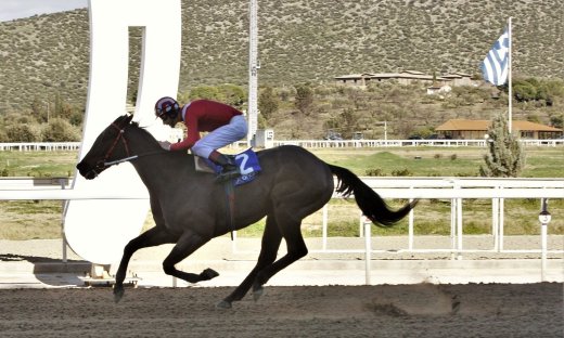 Markopoulo Park: Μεγάλα κέρδη μοίρασε το ΣΚΟΡ 6