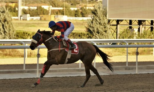 Επτά δυνατές ελληνικές ιπποδρομίες στο Markopoulo Park
