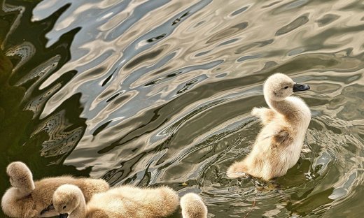 Διάβασε ΔΩΡΕΑΝ την προσωπική σου πρόβλεψη, για σήμερα 10/06/2023
