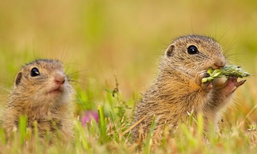 Διάβασε ΔΩΡΕΑΝ την προσωπική σου πρόβλεψη, για σήμερα 12/06/2023