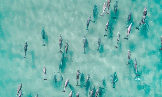 Διάβασε ΔΩΡΕΑΝ την προσωπική σου πρόβλεψη, για σήμερα 14/06/2023