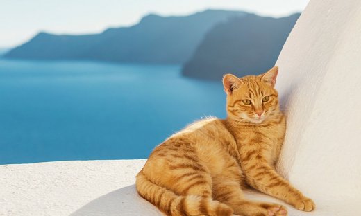 Διάβασε ΔΩΡΕΑΝ την προσωπική σου πρόβλεψη, για σήμερα 18/06/2023