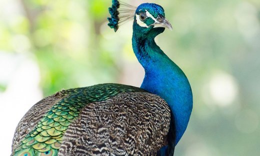 Διάβασε ΔΩΡΕΑΝ την προσωπική σου πρόβλεψη, για σήμερα 26/06/2023