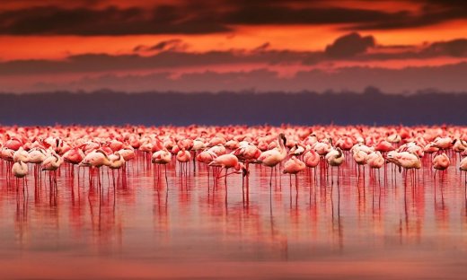 Διάβασε ΔΩΡΕΑΝ την προσωπική σου πρόβλεψη, για σήμερα 29/06/2023