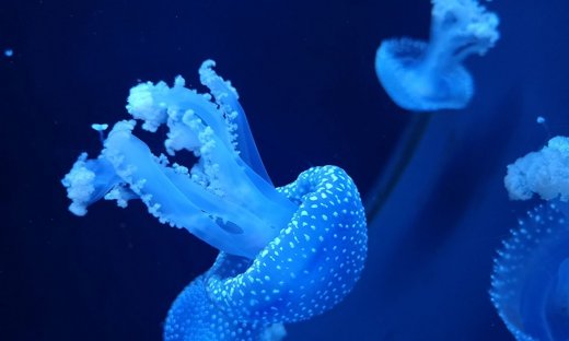 Διάβασε ΔΩΡΕΑΝ την προσωπική σου πρόβλεψη, για σήμερα 24/06/2023