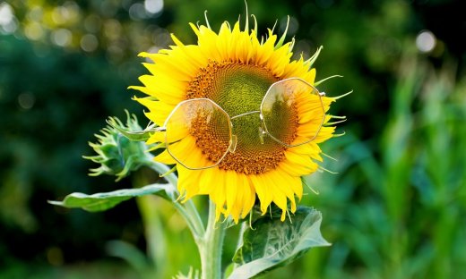 Ζώδια Σήμερα 01/07: Με το δεξί