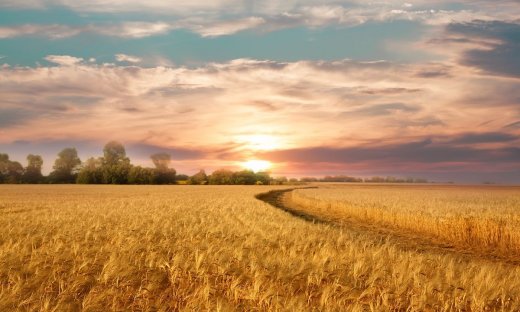 Όσα πρέπει να γνωρίζεις για τους πλανήτες και τα ζώδια τον Ιούλιο