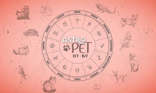 AstroPet 02/07-08/07: Εβδομαδιαίες προβλέψεις για το κατοικίδιό σου
