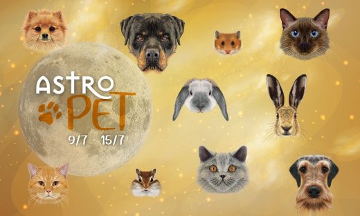 AstroPet 09/07-15/07: Εβδομαδιαίες προβλέψεις για το κατοικίδιό σου