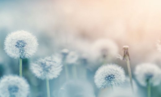 Διάβασε ΔΩΡΕΑΝ την προσωπική σου πρόβλεψη, για σήμερα 09/07/2023