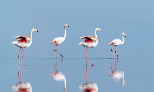 Διάβασε ΔΩΡΕΑΝ την προσωπική σου πρόβλεψη, για σήμερα 10/07/2023