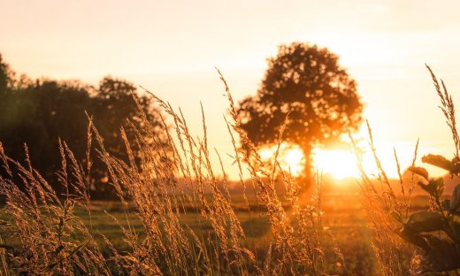 Διάβασε ΔΩΡΕΑΝ την προσωπική σου πρόβλεψη, για σήμερα 18/07/2023