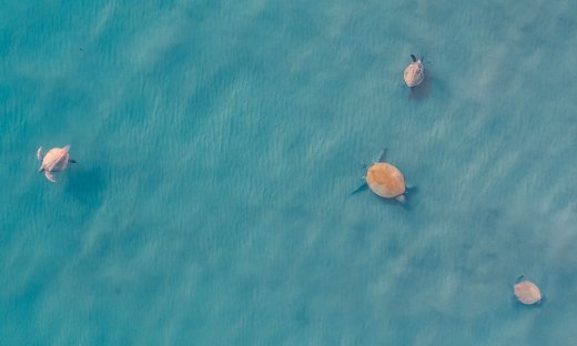 Διάβασε ΔΩΡΕΑΝ την προσωπική σου πρόβλεψη, για σήμερα 21/07/2023