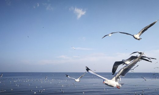 Διάβασε ΔΩΡΕΑΝ την προσωπική σου πρόβλεψη, για σήμερα 27/07/2023