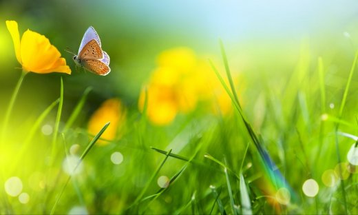 Πες μας πότε γεννήθηκες να σου πούμε τι θα σου φέρει ο Αύγουστος