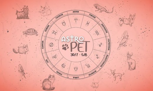 AstroPet 30/07-05/08: Εβδομαδιαίες προβλέψεις για το κατοικίδιό σου