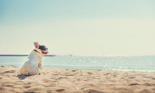 Διάβασε ΔΩΡΕΑΝ την προσωπική σου πρόβλεψη, για σήμερα 02/08/2023