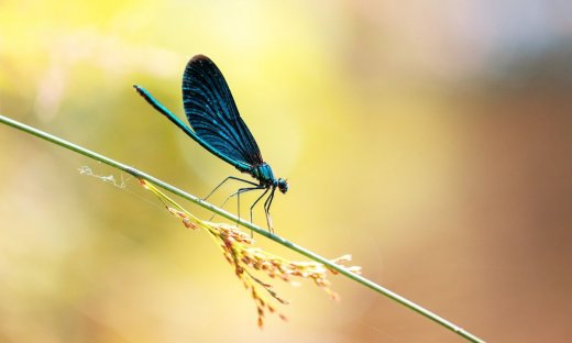 Διάβασε ΔΩΡΕΑΝ την προσωπική σου πρόβλεψη, για σήμερα 08/08/2023