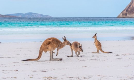 Διάβασε ΔΩΡΕΑΝ την προσωπική σου πρόβλεψη, για σήμερα 18/08/2023