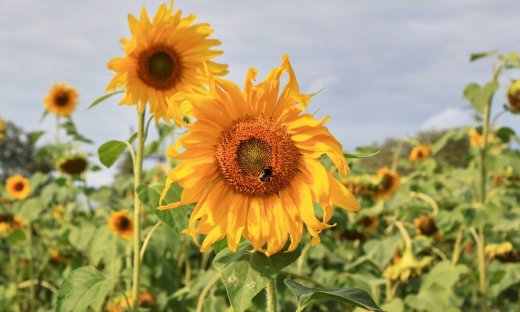 Διάβασε ΔΩΡΕΑΝ την προσωπική σου πρόβλεψη, για σήμερα 20/08/2023