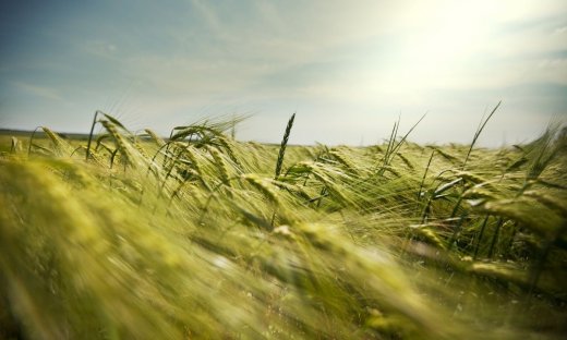 Διάβασε ΔΩΡΕΑΝ την προσωπική σου πρόβλεψη, για σήμερα 23/08/2023