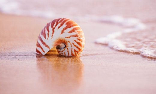 Διάβασε ΔΩΡΕΑΝ την προσωπική σου πρόβλεψη, για σήμερα 05/08/2023