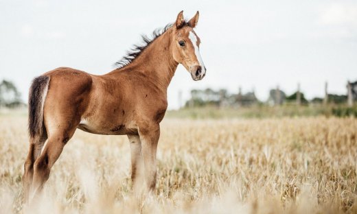 Διάβασε ΔΩΡΕΑΝ την προσωπική σου πρόβλεψη, για σήμερα 16/08/2023