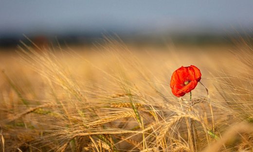 Διάβασε ΔΩΡΕΑΝ την προσωπική σου πρόβλεψη, για σήμερα 13/08/2023