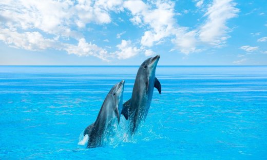 Διάβασε ΔΩΡΕΑΝ την προσωπική σου πρόβλεψη, για σήμερα 04/08/2023