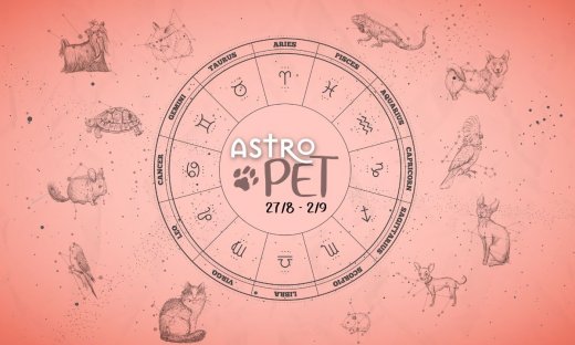 AstroPet 27/08-02/09: Εβδομαδιαίες προβλέψεις για το κατοικίδιό σου