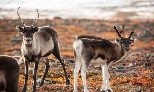 Διάβασε ΔΩΡΕΑΝ την προσωπική σου πρόβλεψη, για σήμερα 20/09/2023