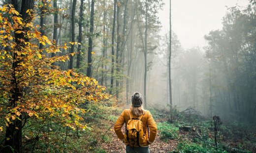 Προβλέψεις για όλα τα Ζώδια, 31/10: Κεραυνοβόλοι έρωτες
