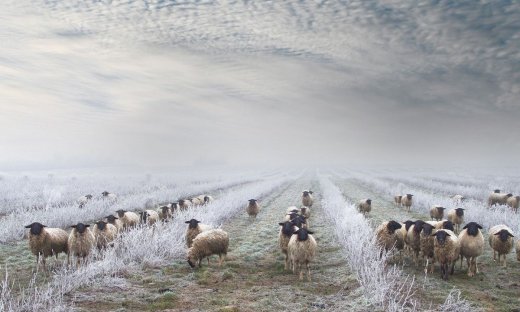Διάβασε ΔΩΡΕΑΝ την προσωπική σου πρόβλεψη, για σήμερα 09/12/2023